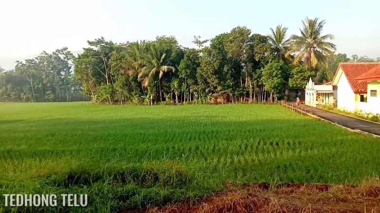 suasana desa bak lukisan © YouTube