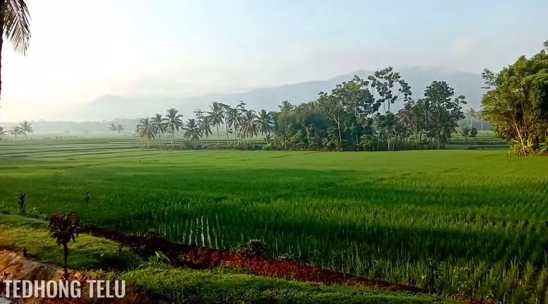 suasana desa bak lukisan © YouTube