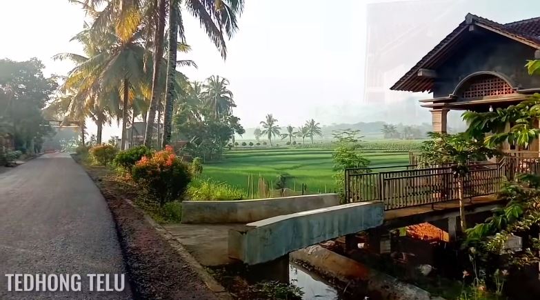 suasana desa bak lukisan © YouTube