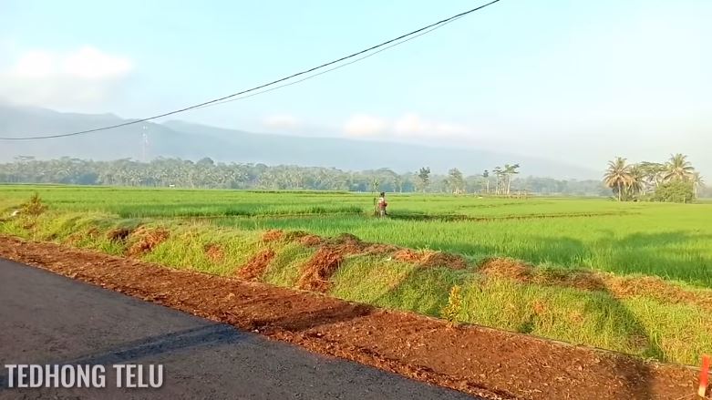 suasana desa bak lukisan © YouTube
