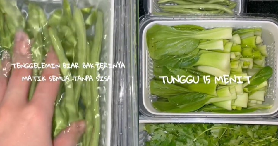 Bukan garam atau cuka, ini trik mencuci sayur agar bebas kuman dan pestisida cuma pakai 1 bahan dapur