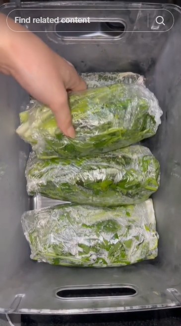 Bukan garam atau cuka, ini trik mencuci sayur agar bebas kuman dan pestisida cuma pakai 1 bahan dapur