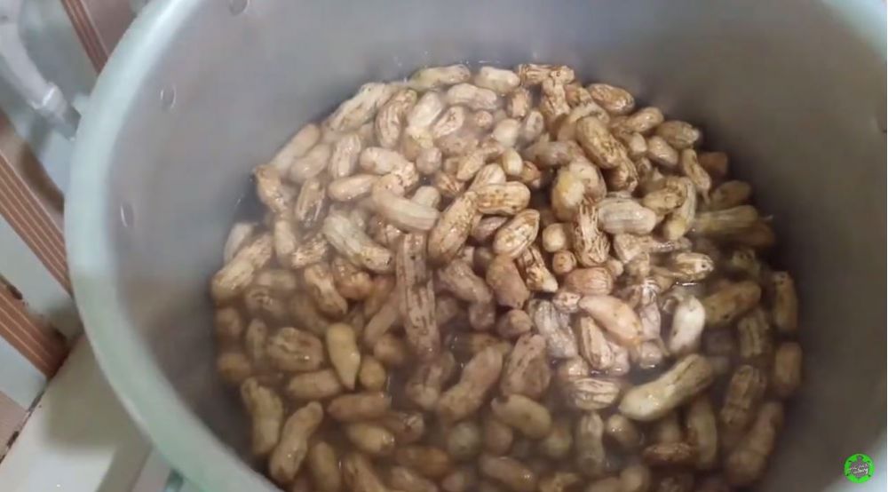Cuma butuh 10 menit, begini trik merebus kacang tanah agar hemat gas dan hasilnya nggak basah