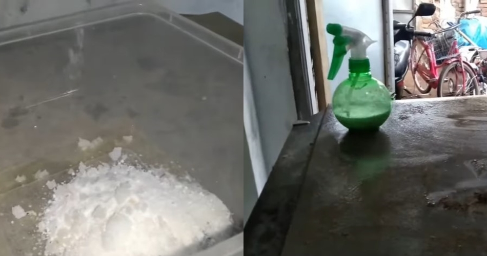 Tak perlu disikat kuat, ini cara bersihkan noda lemak dan kerak di bodi kulkas cuma pakai 3 bahan