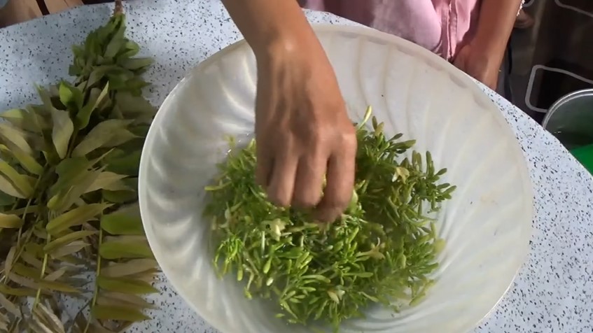 Tak perlu baking soda atau asam jawa, ini cara merebus bunga pepaya agar tak pahit pakai 1 jenis daun