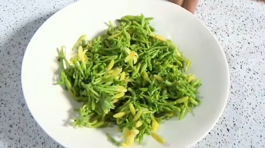 Tak perlu baking soda atau asam jawa, ini cara merebus bunga pepaya agar tak pahit pakai 1 jenis daun