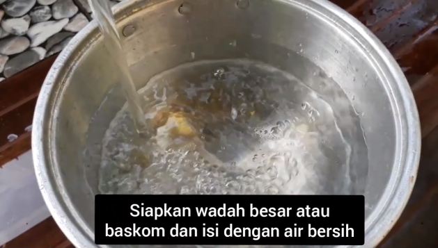 Tanpa perlu digosok, ini cara mencuci gelas kaca berjamur agar kinclong lagi pakai 2 bahan sederhana