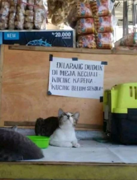 Potret kocak imbauan Berbagai sumber