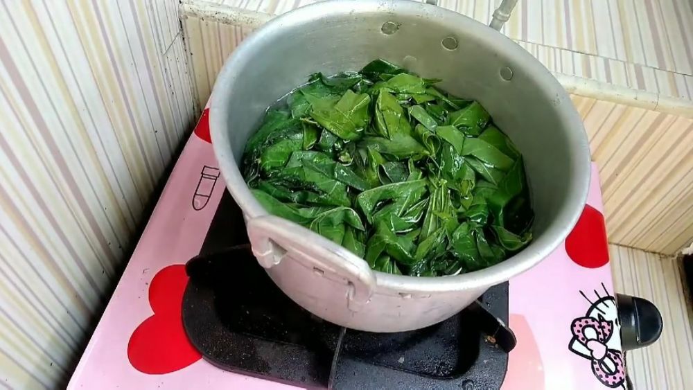Tanpa garam, begini cara merebus daun singkong agar cepat empuk dalam 5 menit dan warnanya tetap hijau