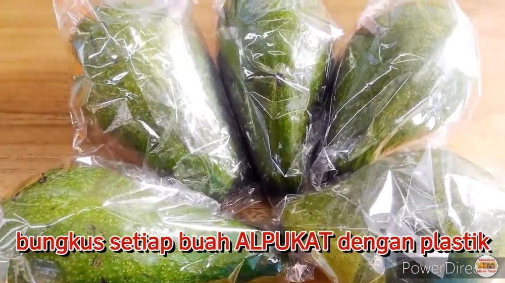 Cara mudah menyimpan buah alpukat yang sudah matang agar awet dan tak busuk sampai 6 bulan