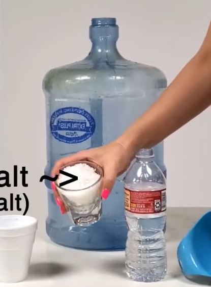 Tanpa sitrun atau kerikil, begini trik bersihkan lumut dan noda kuning di galon pakai 1 bahan dapur