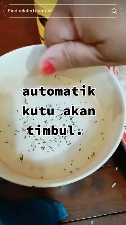 Pakai 1 bumbu masak, ini trik cepat mengusir kutu beras agar layak dipakai lagi