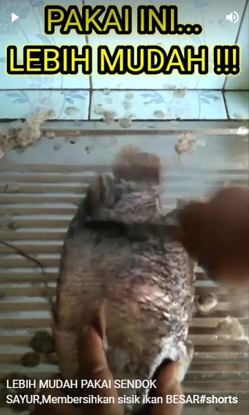 Bukan pakai pisau atau sendok, cara bersihkan sisik ikan gurame ini lebih aman dan cepat