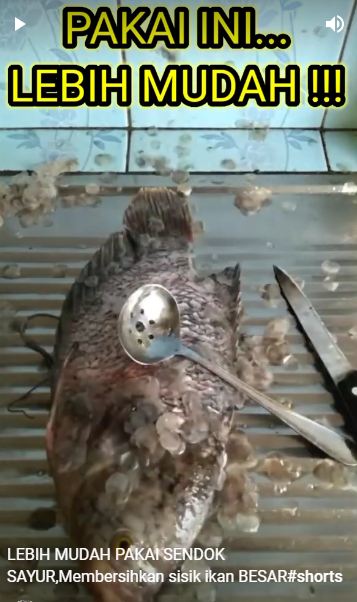 Bukan pakai pisau atau sendok, cara bersihkan sisik ikan gurame ini lebih aman dan cepat
