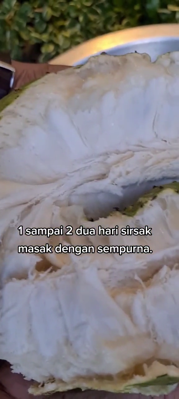 Trik mematangkan sirsak pakai 1 bahan, hasilnya lebih manis dan empuk dalam waktu 2 hari