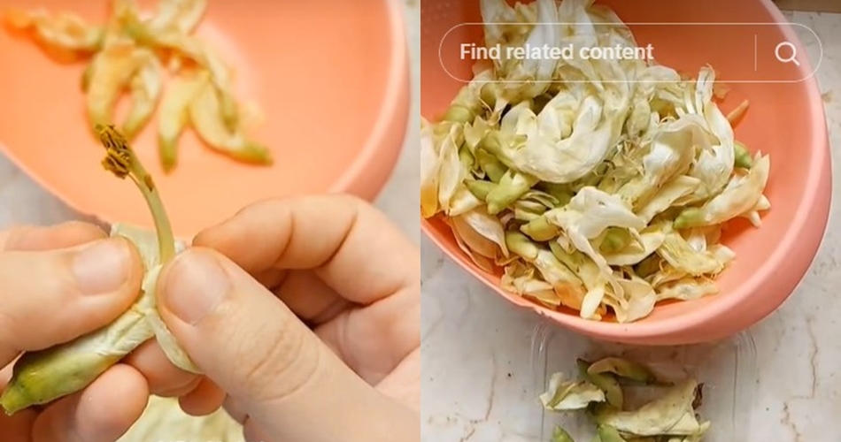 Trik jitu masak tumis bunga turi agar pahitnya berkurang dan lebih gurih, cukup tambah 1 bahan dapur