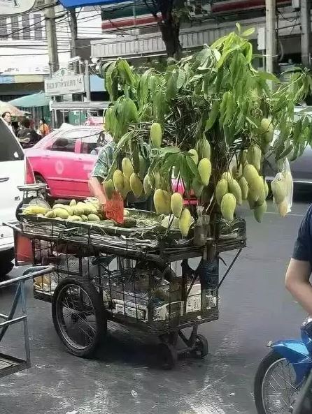 fitur nggak biasa di gerobak pedagang kaki lima Berbagai sumber