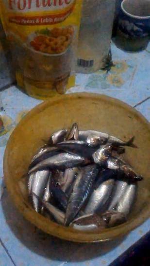 Tanpa cuka, ini cara mudah hilangkan formalin pengawet pada ikan laut cuma pakai 1 bahan dapur