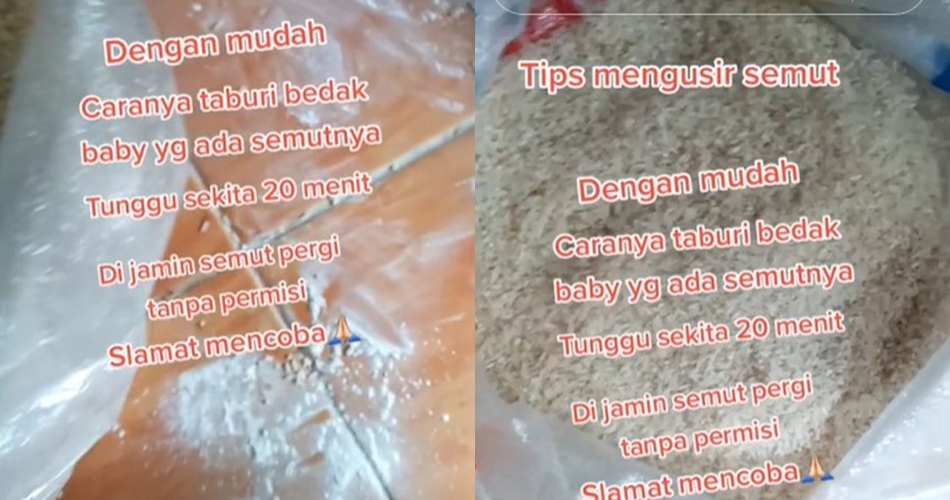 Cara warganet usir semut di tempat penyimpanan beras ini antimainstream pakai 1 jenis produk bayi