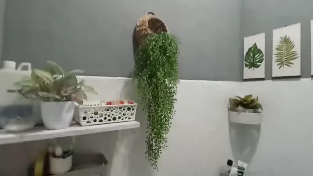 makeover kamar mandi kusam jadi estetik © 2023 brilio.net makeover kamar mandi kusam jadi estetik © 2023 brilio.net