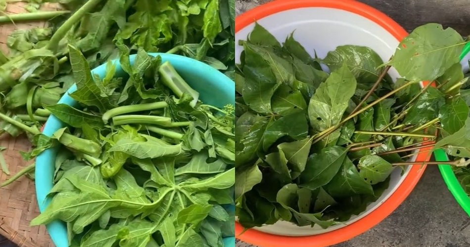 Bukan pakai tanah liat atau asam jawa, ini cara hilangkan pahit daun pepaya cuma pakai 1 bahan alami