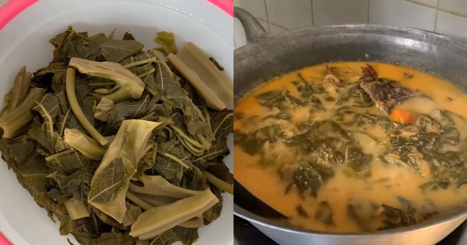 Bukan pakai tanah liat atau asam jawa, ini cara hilangkan pahit daun pepaya cuma pakai 1 bahan alami