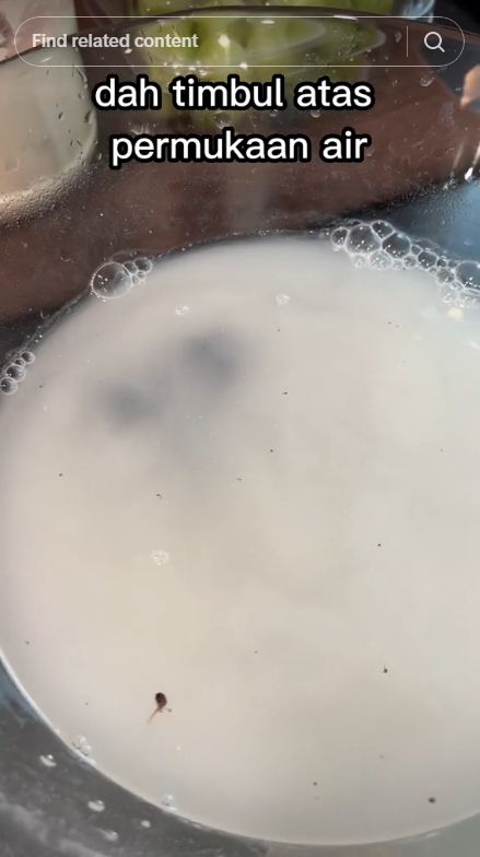 Tanpa direndam baking soda, ini cara mencuci anggur agar bebas lilin dan pestisida