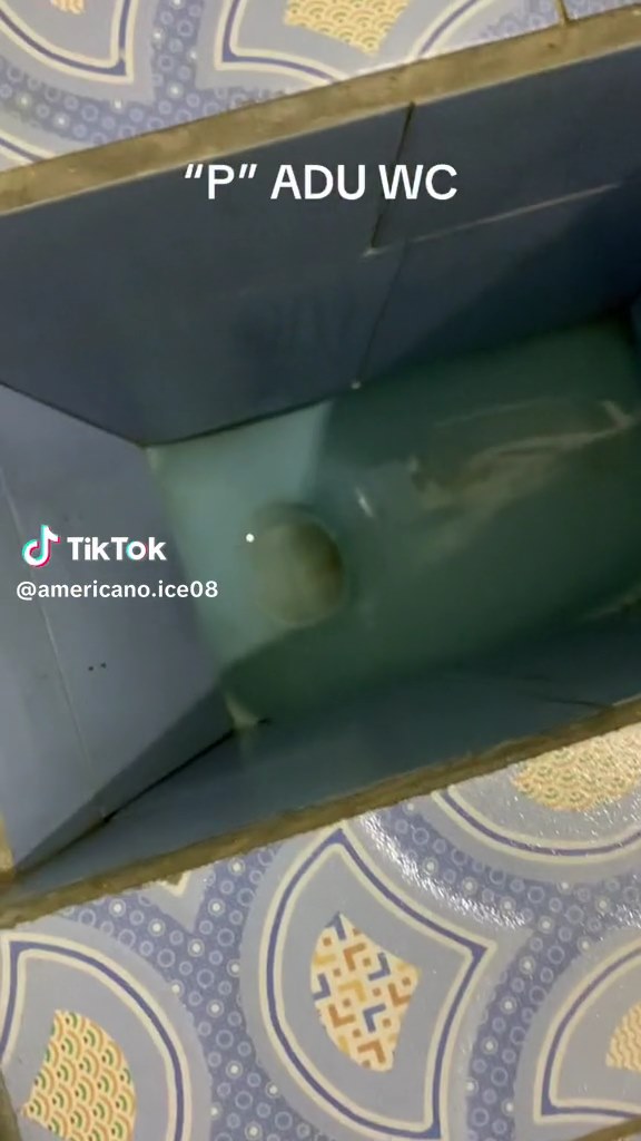 toilet kayak sumur © TikTok toilet kayak sumur © TikTok