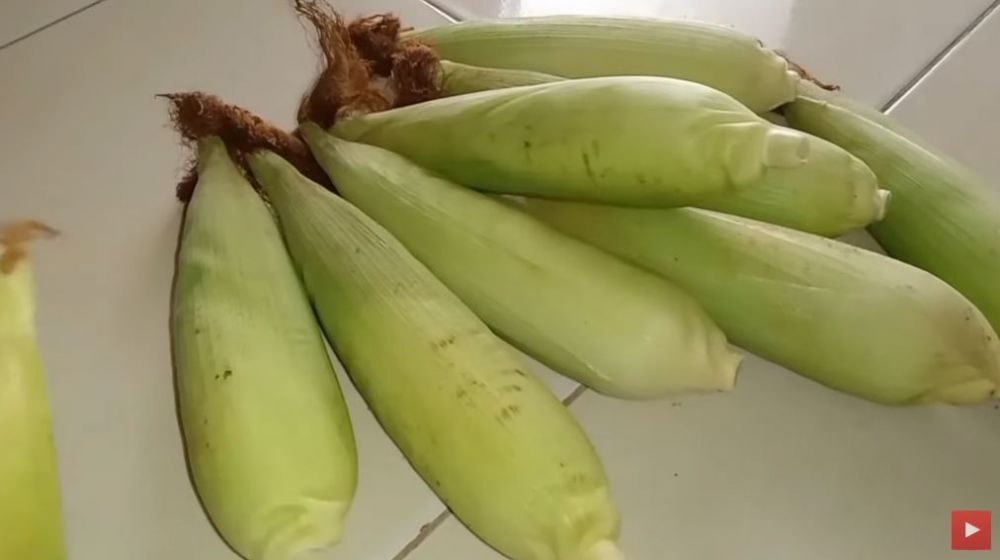 Cukup 5 menit, ini cara merebus jagung agar empuk dan tak mudah keriput meski sudah dingin