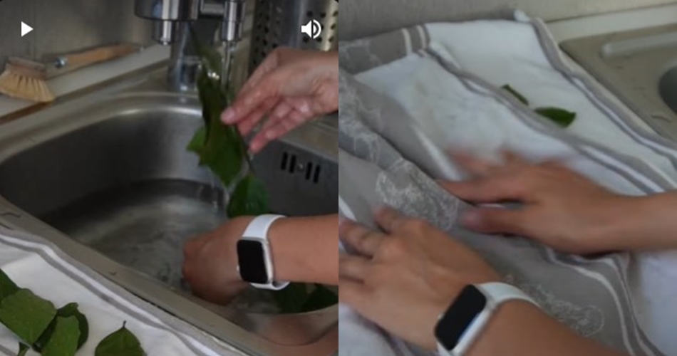 Tanpa oven atau dijemur, ini trik mengeringkan daun salam supaya tetap hijau dan awet wangi