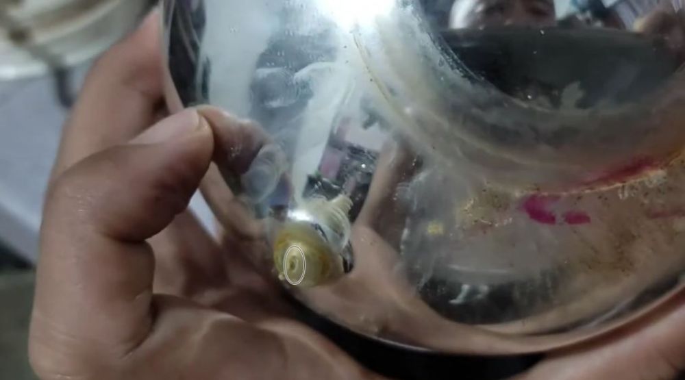 Cara memperbaiki termos yang berlubang dan bikin air cepat dingin, praktis tanpa ditambal alumunium