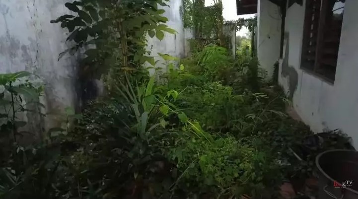 Rumah terbengkalai milik pemeran Mak Lampir © YouTube