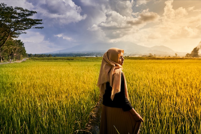 20 Arti mimpi memetik buah mangga menurut Islam dan primbon Jawa, tanda adanya keberkahan