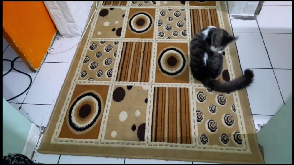 makeover lorong rumah jadi ruang main PS © 2023 brilio.net makeover lorong rumah jadi ruang main PS © 2023 brilio.net