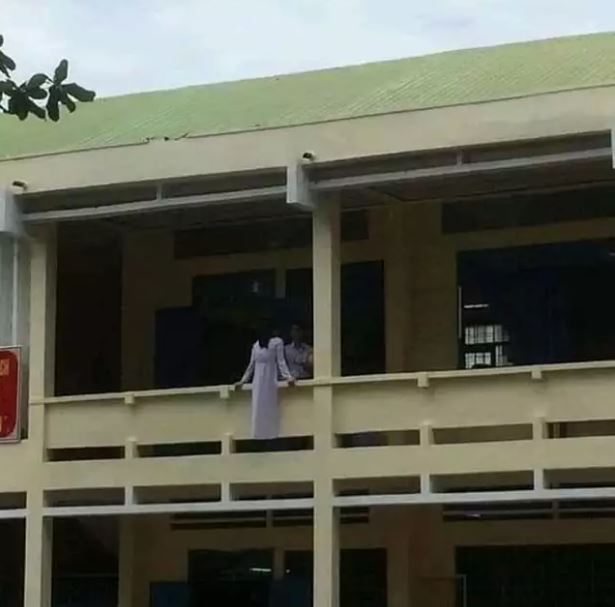 Potret kocak menipu mata ini auto kaget Berbagai sumber