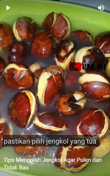 Tak perlu bahan tambahan, begini cara merebus jengkol agar empuk dan bebas bau