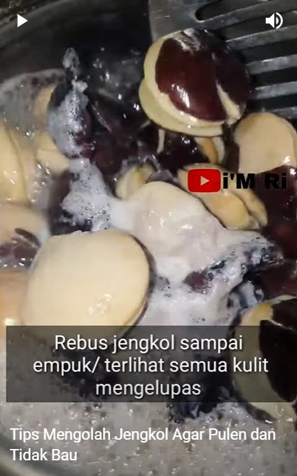 Tak perlu bahan tambahan, begini cara merebus jengkol agar empuk dan bebas bau