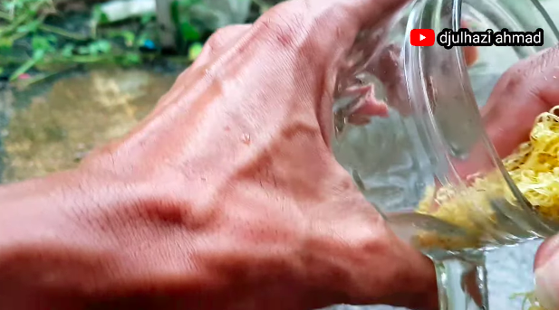 Bukan pakai bahan pemutih, ini cara bersihkan kerak di gelas kaca cuma pakai 1 bahan sederhana