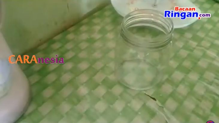 Bukan pakai kopi, ini cara bikin perangkap cicak cuma modal 1 bahan