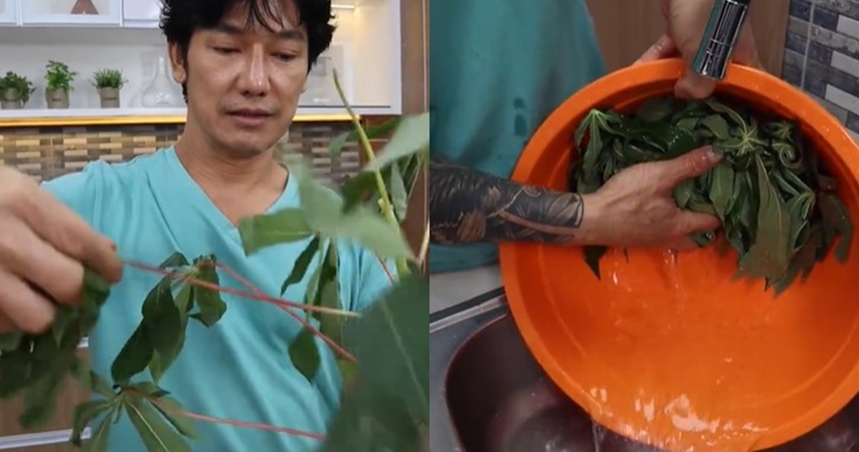 Cukup tambah 1 bahan dapur, ini cara merebus daun singkong agar tetap hijau dan empuk
