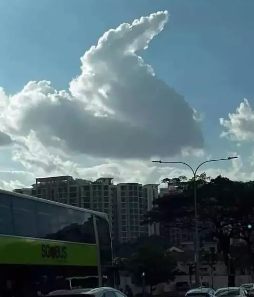 potret kocak penampakan aneh Berbagai sumber