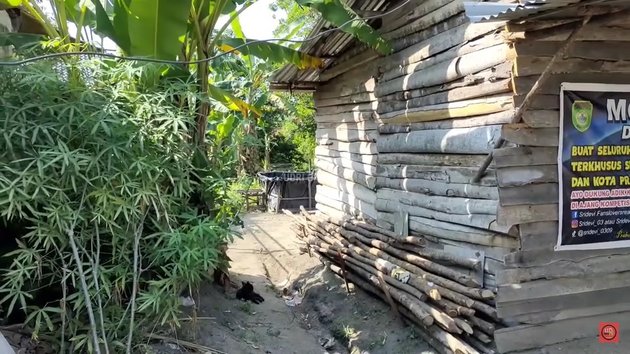 Rumah reyot punya jawara D'Academy 5 © YouTube