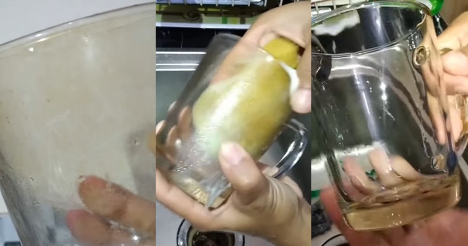 Bukan cuka atau sitrun, ini cara bersihkan kerak piring dan gelas pakai 2 bahan dapur tanpa direndam