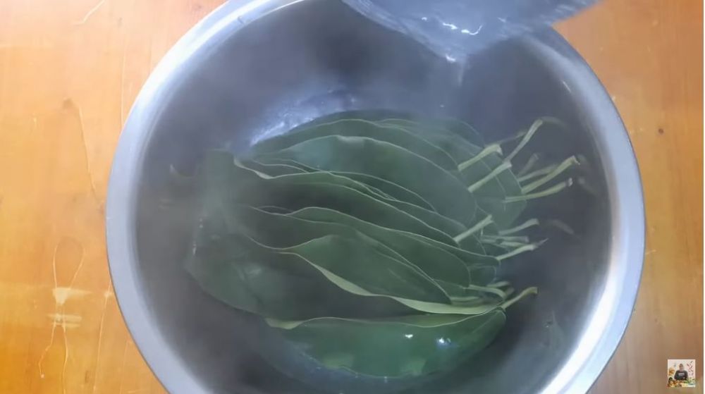Cukup tambah 2 bahan dapur, ini trik membuat cincau agar tak bau daun dan berbusa walau tanpa diremas