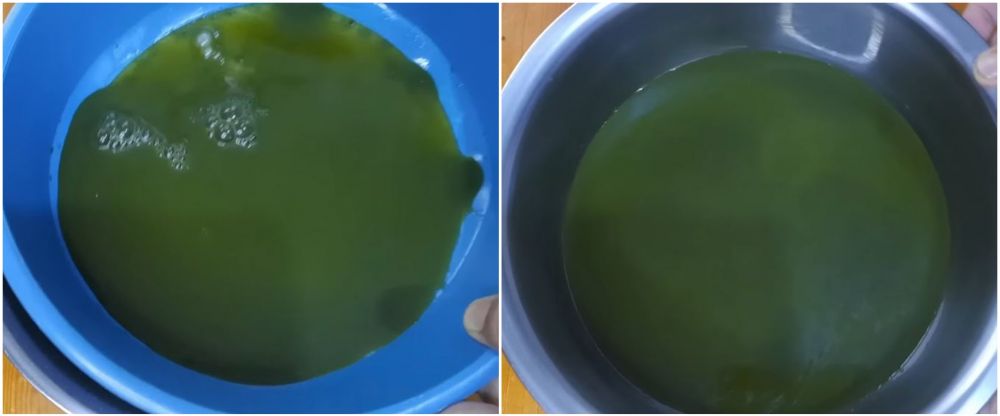 Cukup tambah 2 bahan dapur, ini trik membuat cincau agar tak bau daun dan berbusa walau tanpa diremas