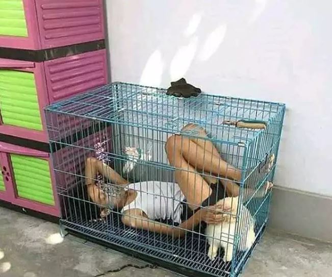 Potret kocak pose nyeleneh orang dengan benda kesayangan Berbagai sumber