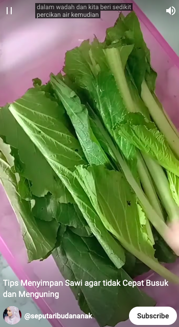 Trik mudah simpan sawi agar tidak cepat busuk dan menguning, cuma tambahkan 1 bahan