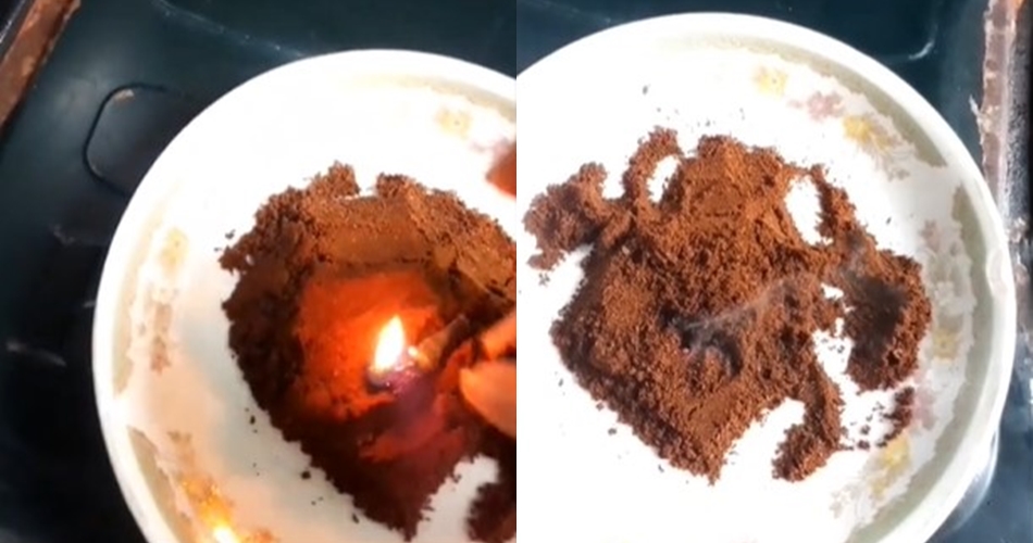 Hanya butuh 3 bahan dapur, begini cara mengusir nyamuk tanpa obat atau semprotan khusus