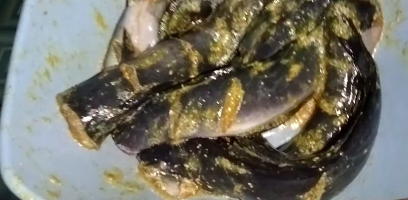 Tanpa ditambah tepung terigu, ini trik menggoreng lele biar tekstur renyah dan minyaknya nggak meletup