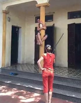 kelakuan emak-emak gabut di rumah Berbagai sumber kelakuan emak-emak gabut di rumah Berbagai sumber